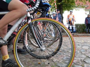 Dassow Cross-Cup 093